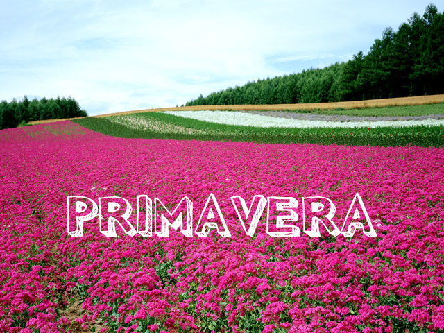 Primavera